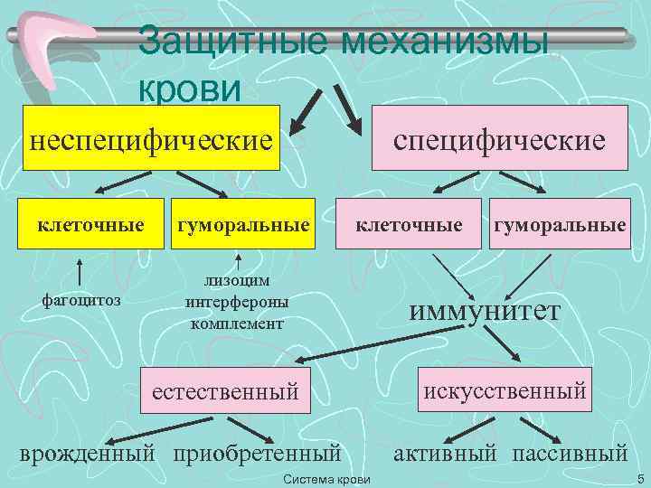 Функции защитной системы