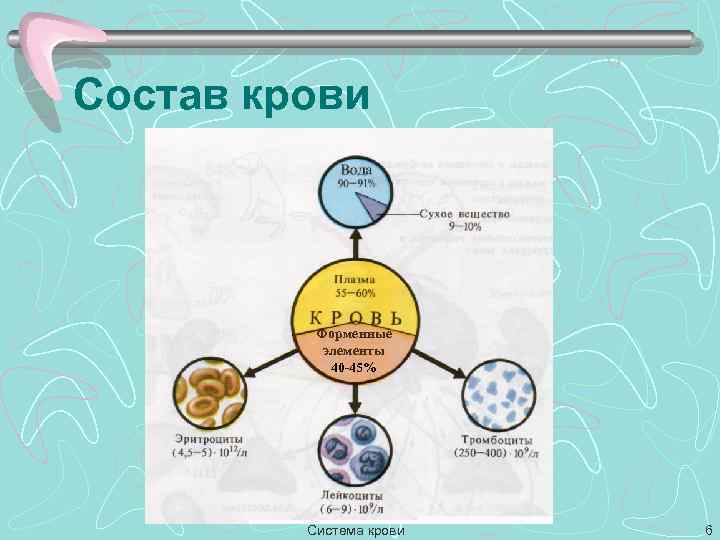 Состав крови Форменные элементы 40 -45% Система крови 6 