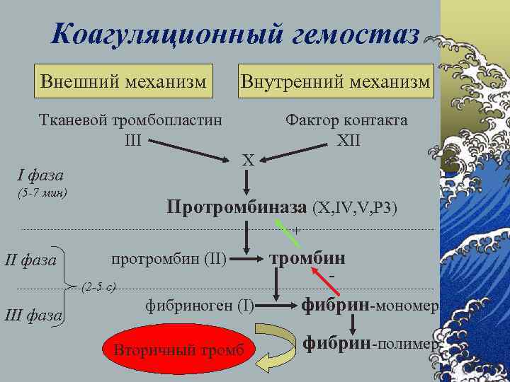 Плазменно коагуляционный гемостаз презентация