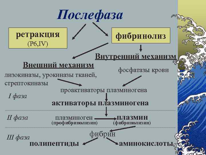 Послефаза ретракция фибринолиз (P 6, IV) Внешний механизм Внутренний механизм фосфатазы крови лизокиназы, урокиназы