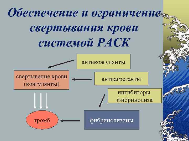 Обеспечение и ограничение свертывания крови системой РАСК антикоагулянты свертывание крови (коагулянты) антиагреганты ингибиторы фибринолиза