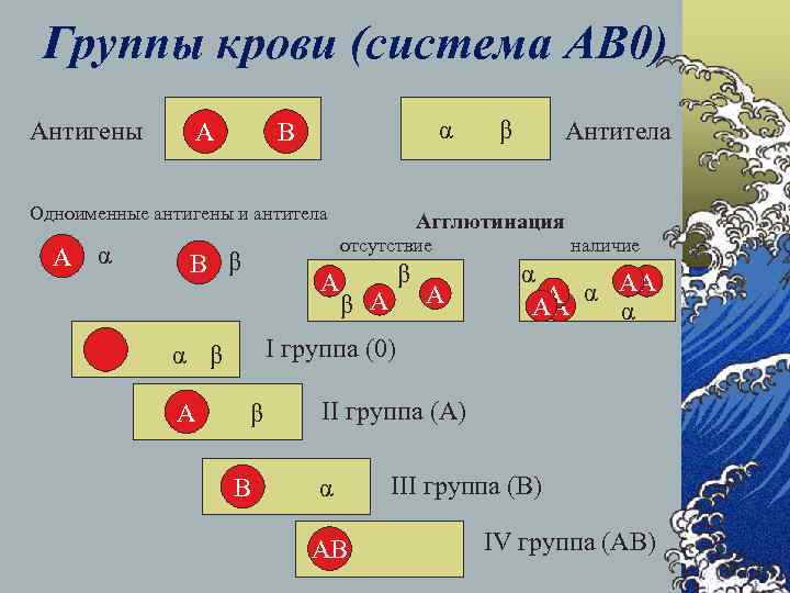 Карта осу группа крови