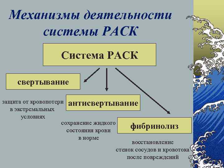 Механизмы деятельности системы РАСК Система РАСК свертывание защита от кровопотери антисвертывание в экстремальных условиях