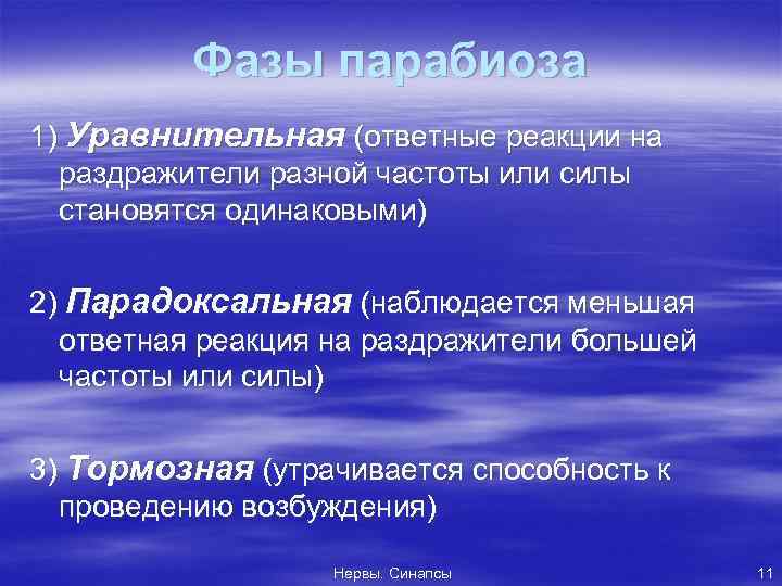 Фазы парабиоза 1) Уравнительная (ответные реакции на раздражители разной частоты или силы становятся одинаковыми)