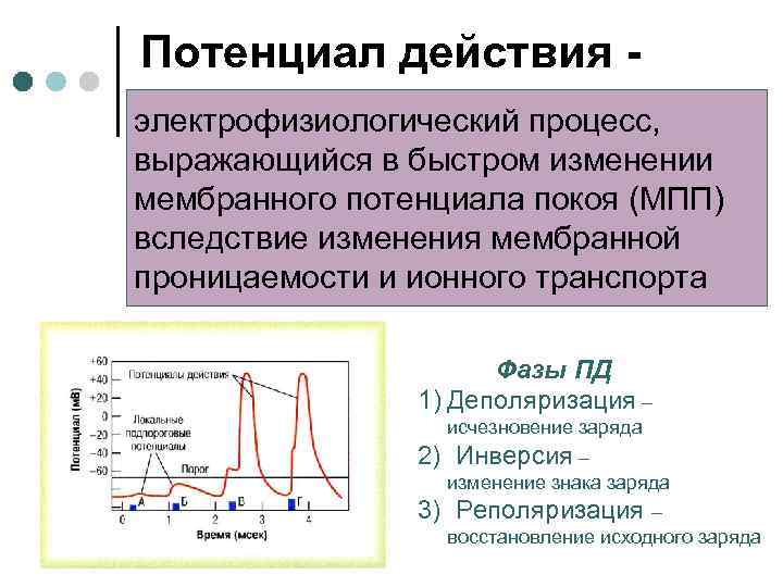 Схема мембранной рецепции