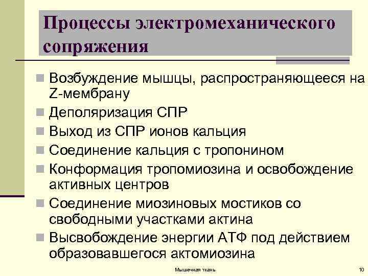 Процессы электромеханического сопряжения n Возбуждение мышцы, распространяющееся на Z-мембрану n Деполяризация СПР n Выход