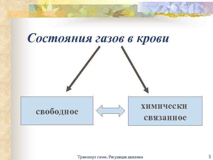 Состояния газов в крови свободное химически связанное Транспорт газов. Регуляция дыхания 3 