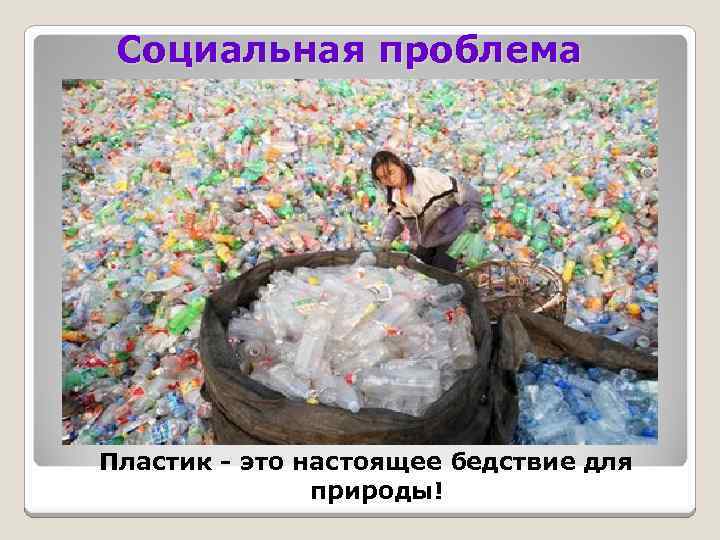 Социальная проблема Пластик - это настоящее бедствие для природы! 