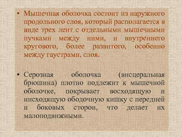  • Мышечная оболочка состоит из наружного продольного слоя, который располагается в виде трех