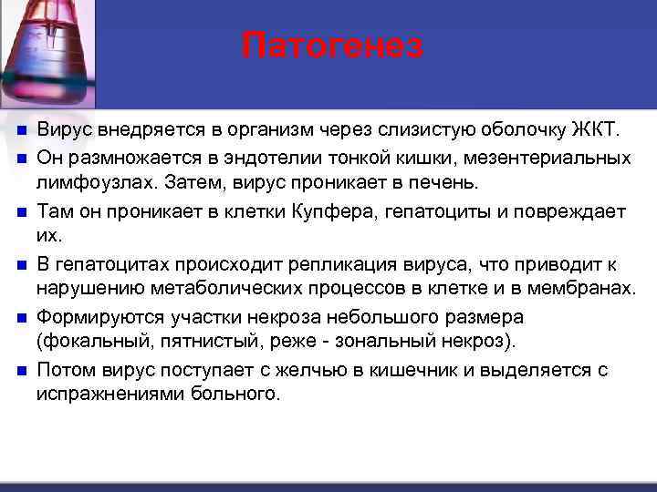 Патогенез n n n Вирус внедряется в организм через слизистую оболочку ЖКТ. Он размножается