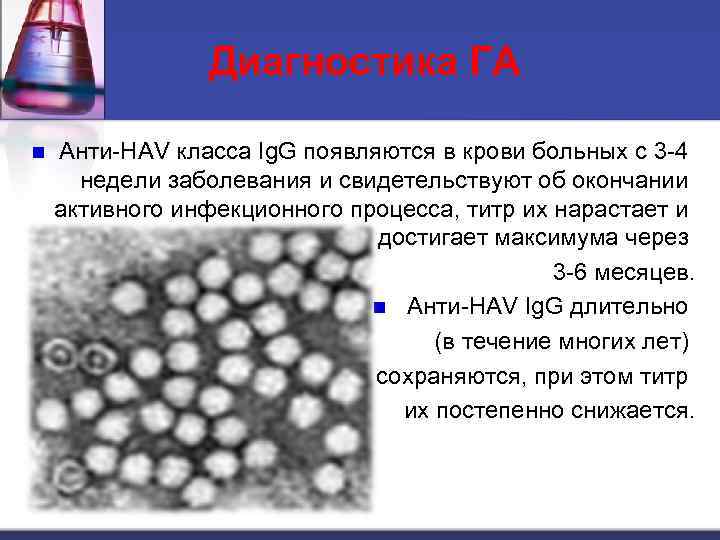 Диагностика ГА n Анти-HAV класса Ig. G появляются в крови больных с 3 -4