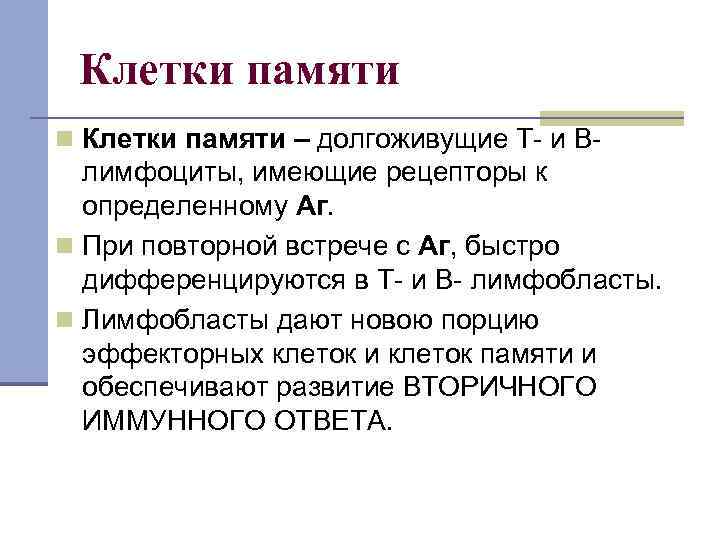Клетки памяти n Клетки памяти – долгоживущие Т- и В- лимфоциты, имеющие рецепторы к