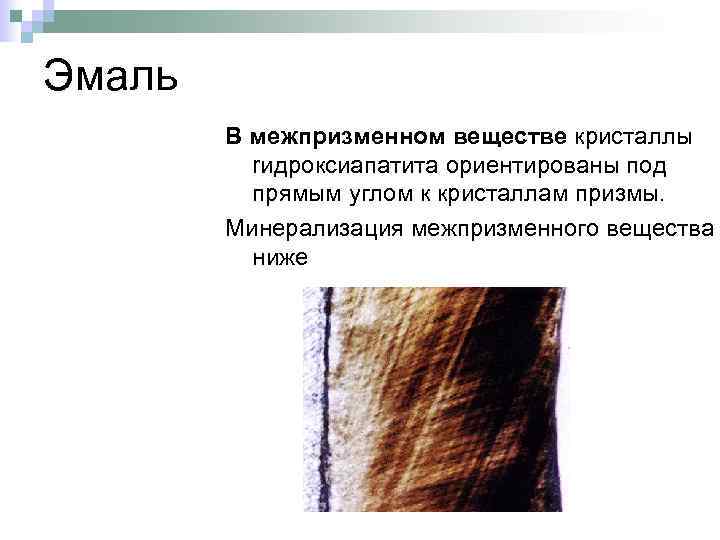 Эмаль В межпризменном веществе кристаллы rидроксиапатита ориентированы под прямым углом к кристаллам призмы. Минерализация