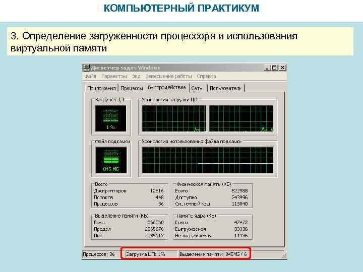 КОМПЬЮТЕРНЫЙ ПРАКТИКУМ 3. Определение загруженности процессора и использования виртуальной памяти 