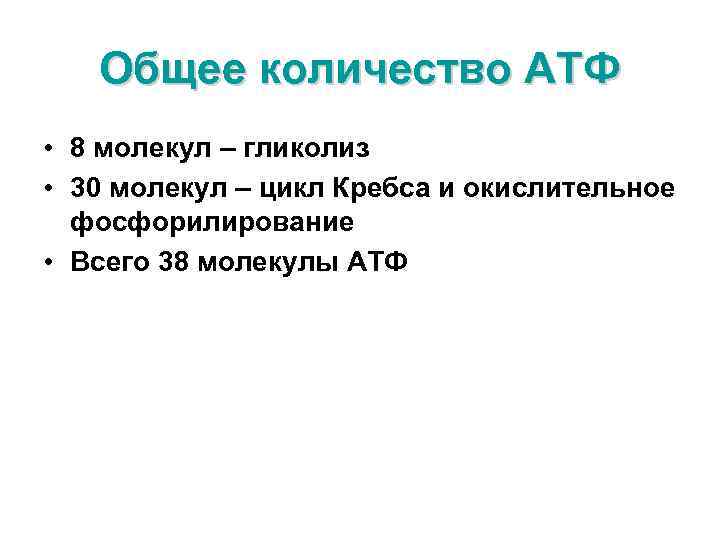 Общее количество АТФ • 8 молекул – гликолиз • 30 молекул – цикл Кребса