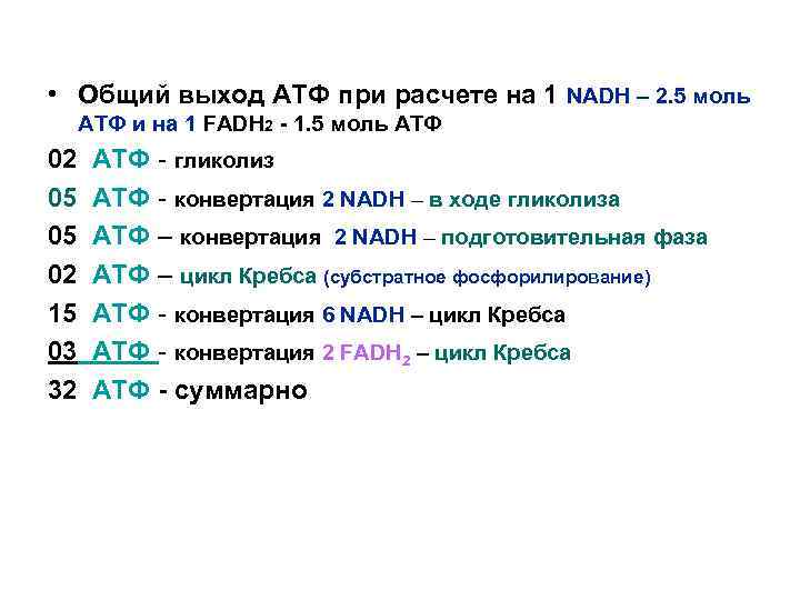  • Общий выход АТФ при расчете на 1 NADH – 2. 5 моль