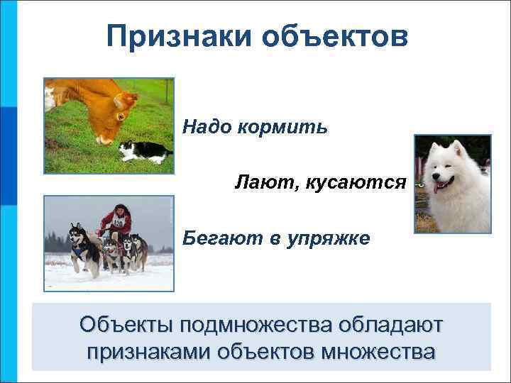 Признаки объектов Надо кормить Лают, кусаются Бегают в упряжке Объекты подмножества обладают признаками объектов