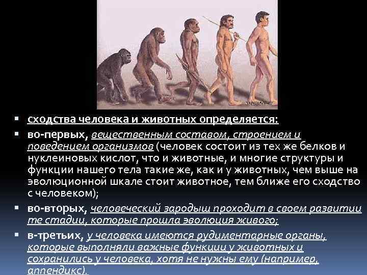 сходства человека и животных определяется: во-первых, вещественным составом, строением и поведением организмов (человек