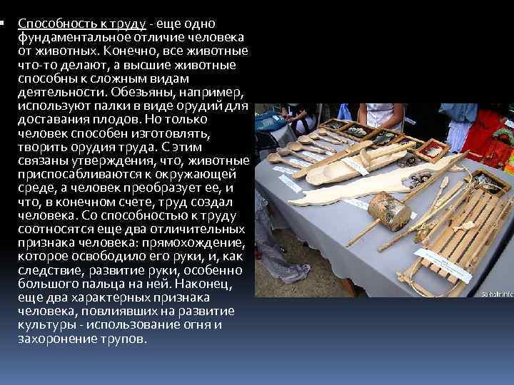  Способность к труду - еще одно фундаментальное отличие человека от животных. Конечно, все