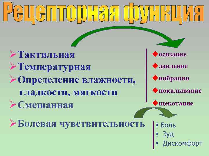 ØТактильная ØТемпературная ØОпределение влажности, гладкости, мягкости ØСмешанная ØБолевая чувствительность uосязание uдавление uвибрация uпокалывание uщекотание