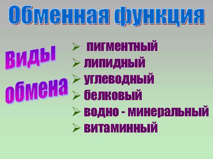 Ø пигментный Ø липидный Ø углеводный Ø белковый Ø водно - минеральный Ø витаминный