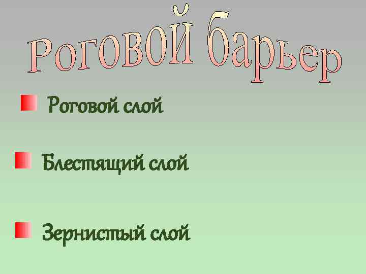 Роговой слой Блестящий слой Зернистый слой 