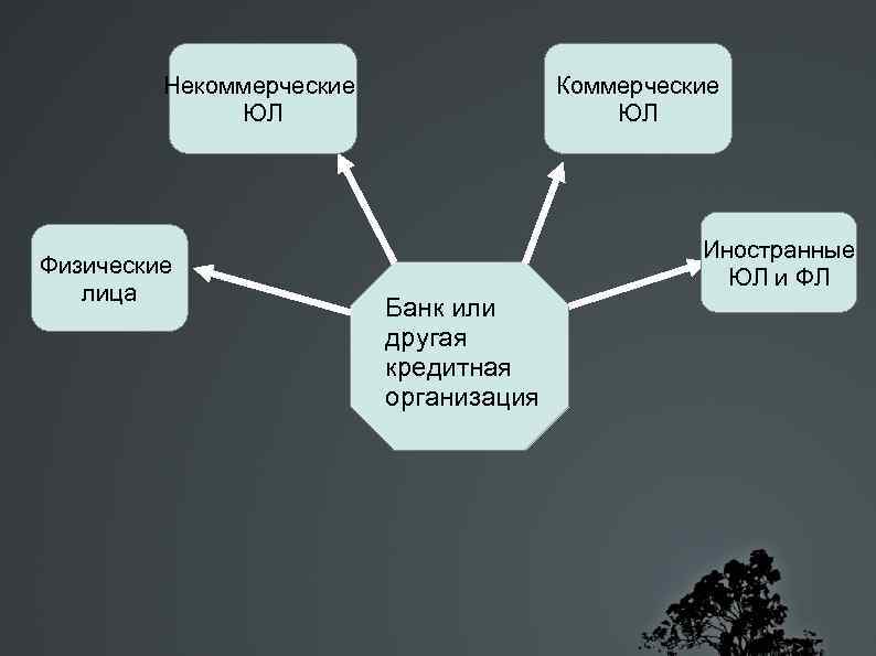 Некоммерческие ЮЛ Физические лица Коммерческие ЮЛ Иностранные ЮЛ и ФЛ Банк или другая кредитная