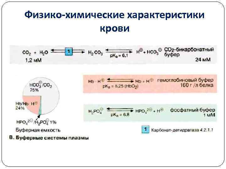 Физико-химические характеристики крови 