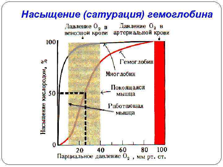 Насыщение (сатурация) гемоглобина 