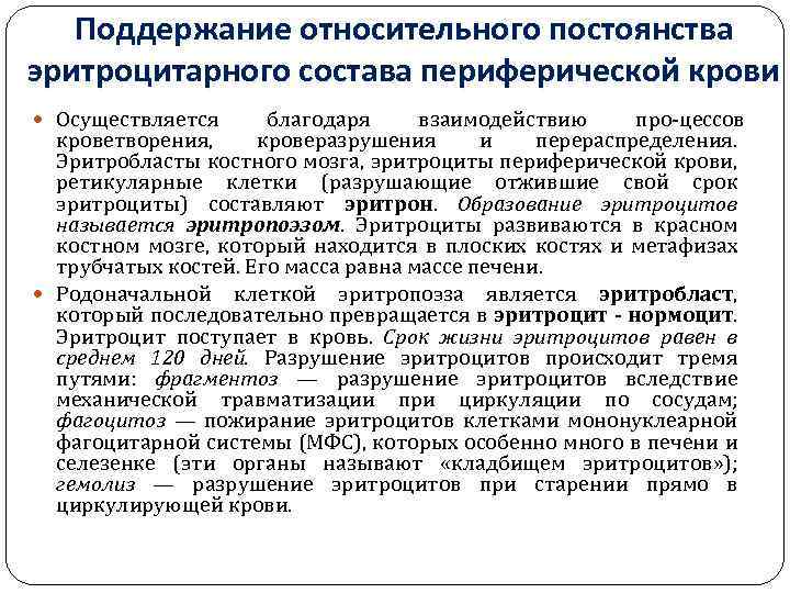 Поддержание относительного постоянства эритроцитарного состава периферической крови Осуществляется благодаря взаимодействию про цессов кроветворения, кроверазрушения