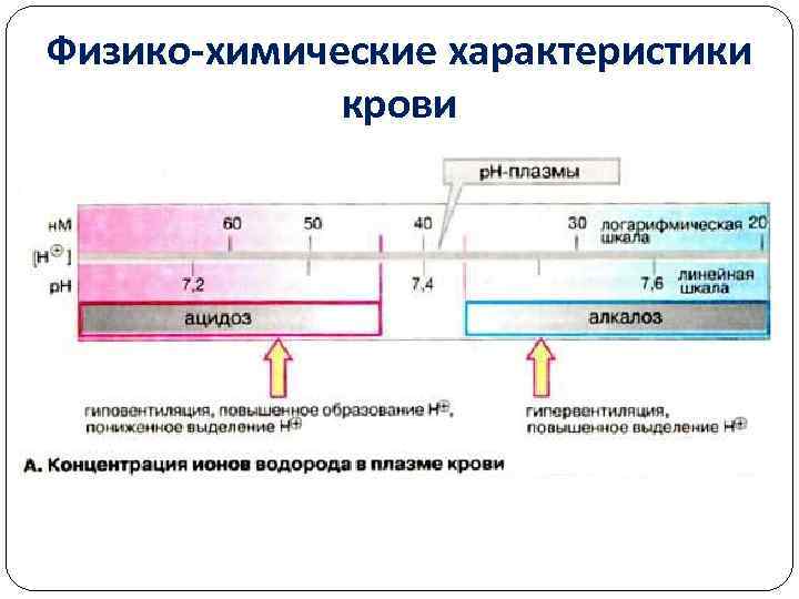 Физико-химические характеристики крови 