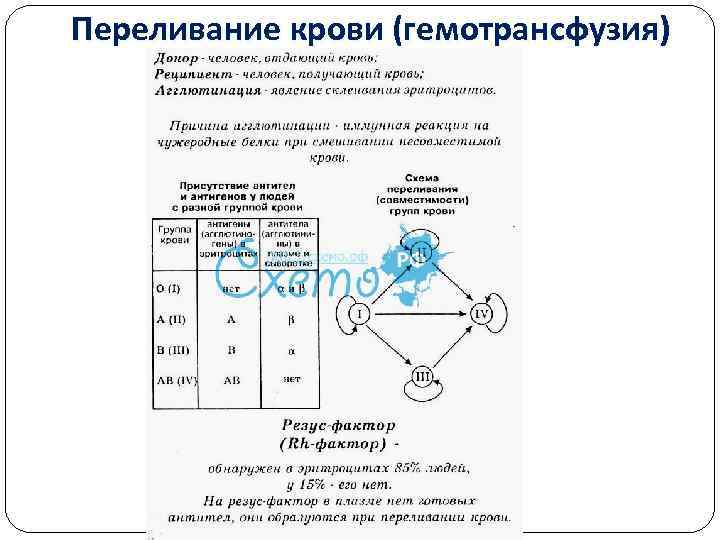 Переливание крови (гемотрансфузия) 