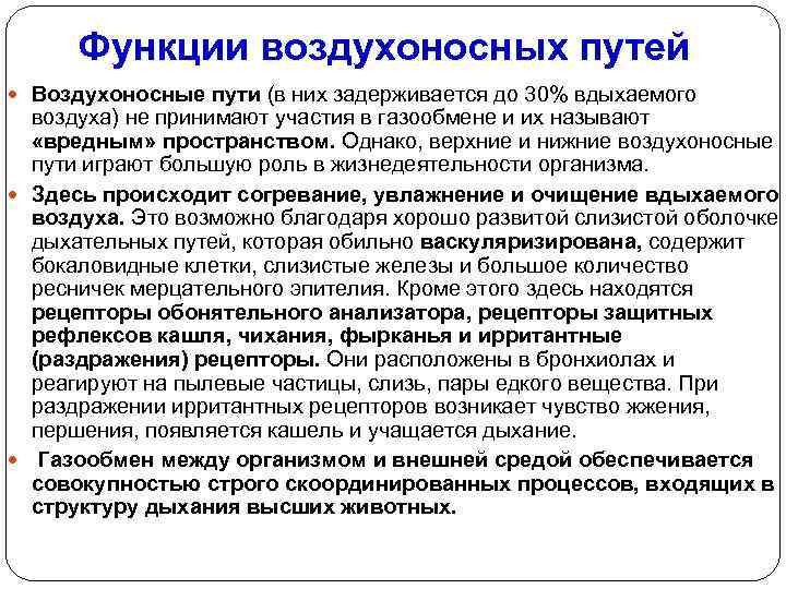 Функции воздухоносных путей Воздухоносные пути (в них задерживается до 30% вдыхаемого воздуха) не принимают