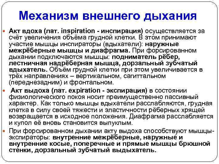 Механизм внешнего дыхания Акт вдоха (лат. inspiration - инспирация) осуществляется за счёт увеличения объёма