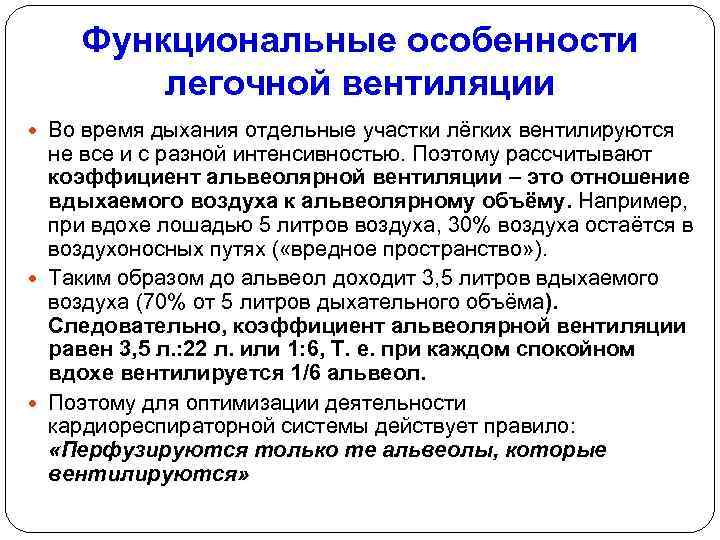 Функциональные особенности легочной вентиляции Во время дыхания отдельные участки лёгких вентилируются не все и