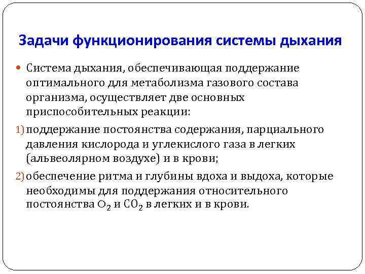 Задачи функционирования системы дыхания Система дыхания, обеспечивающая поддержание оптимального для метаболизма газового состава организма,