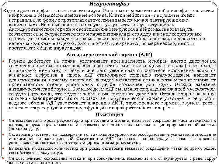 Нейрогипофиз Задняя доля гипофиза часть гипоталамуса. Основными элементами нейрогипофиза являются нейроглия и безмякотные нервные