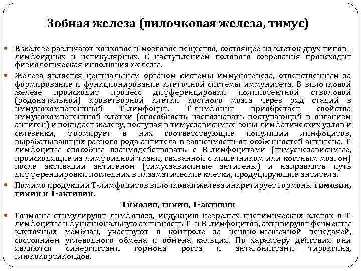 Зобная железа (вилочковая железа, тимус) В железе различают корковое и мозговое вещество, состоящее из