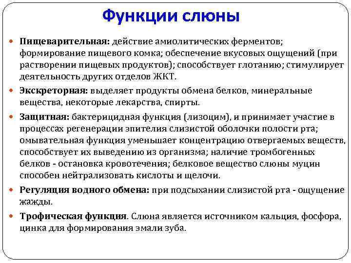 Функции слюны Пищеварительная: действие амиолитических ферментов; формирование пищевого комка; обеспечение вкусовых ощущений (при растворении