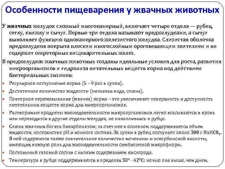 Особенности пищеварения у жвачных животных У жвачных желудок сложный многокамерный, включает четыре отдела —
