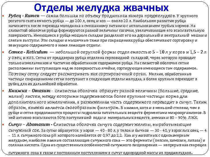Отделы желудка жвачных Рубец - Rumen — самая большая по объему бродильная камера преджелудков.