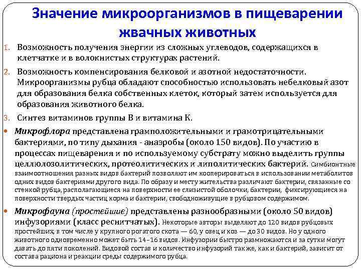 Значение микроорганизмов в пищеварении жвачных животных 1. Возможность получения энергии из сложных углеводов, содержащихся