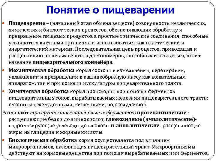 Понятие о пищеварении Пищеварение – (начальный этап обмена веществ) совокупность механических, химических и биологических
