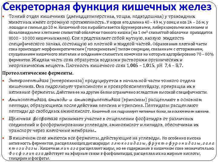 Секреторная функция кишечных желез Тонкий отдел кишечника (двенадцатиперстная, тощая, подвздошная) у травоядных животных имеет