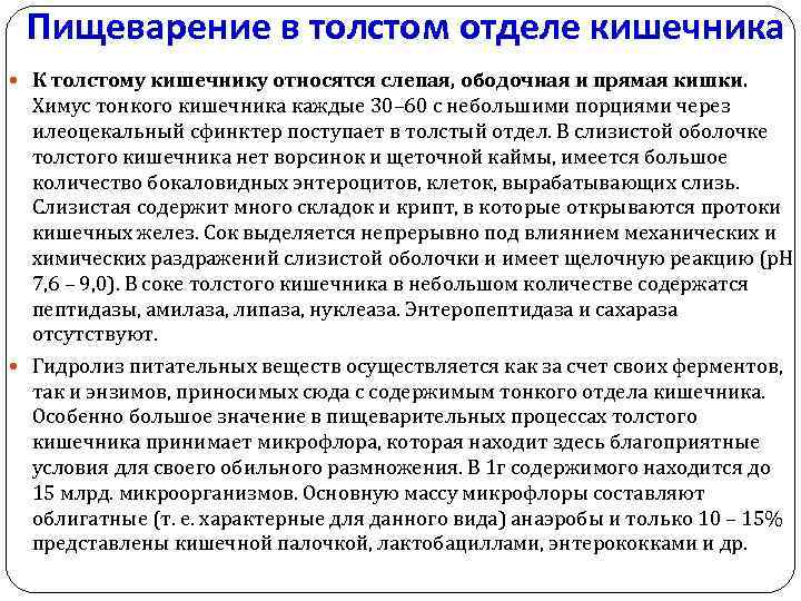 Пищеварение в толстом отделе кишечника К толстому кишечнику относятся слепая, ободочная и прямая кишки.