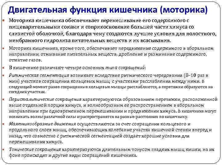 Двигательная функция кишечника (моторика) Моторика кишечника обеспечивает перемешивание его содержимого с пищеварительными соками и