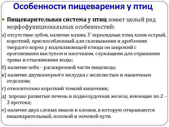 Особенности пищеварения у птиц Пищеварительная система у птиц имеет целый ряд морфофункциональных особенностей: а)