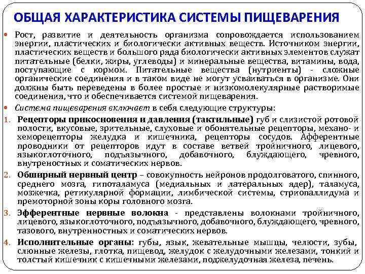 ОБЩАЯ ХАРАКТЕРИСТИКА СИСТЕМЫ ПИЩЕВАРЕНИЯ Рост, развитие и деятельность организма сопровождается использованием 1. 2. 3.