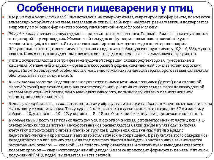 Особенности пищеварения у птиц Изо рта корм поступает в зоб. Слизистая зоба не содержит