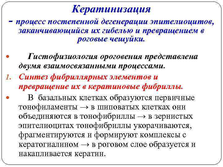 Кератинизация - процесс постепенной дегенерации эпителиоцитов, заканчивающийся их гибелью и превращением в роговые чешуйки.